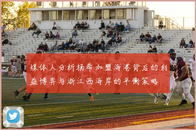 媒体人分析杨希加盟海港背后的利益博弈与浙江西海岸的平衡策略